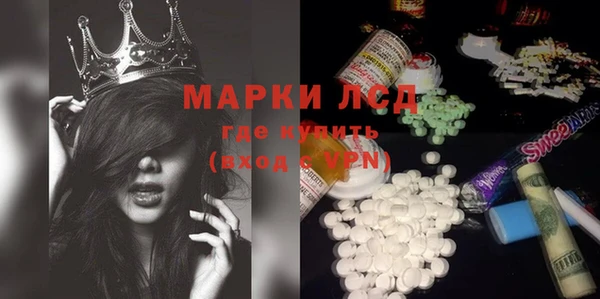 PSILOCYBIN Алзамай