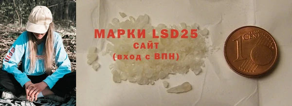 PSILOCYBIN Алзамай
