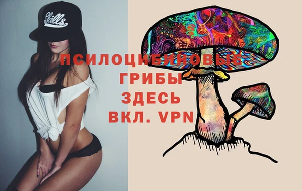 мескалин Алексин