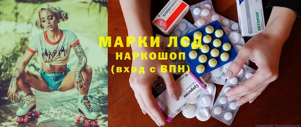 PSILOCYBIN Алзамай