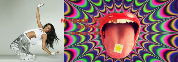 PSILOCYBIN Алзамай