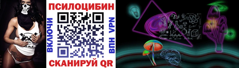 наркошоп  Георгиевск  Псилоцибиновые грибы Cubensis 