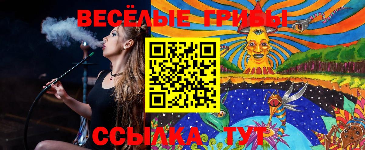 Галлюциногенные грибы GOLDEN TEACHER  Вход с VPN  Георгиевск  Псилоцибиновые грибы GOLDEN TEACHER 